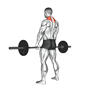 Haussement d'epaules (Barre)