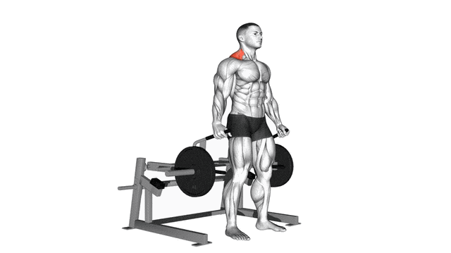 Animation Haussement d'epaules (Machine)