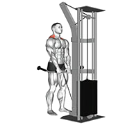 Haussement d'epaules (Poulie)