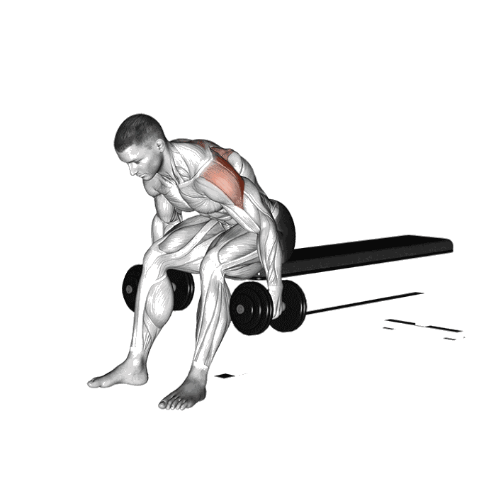 Animation Oiseau assis sur banc