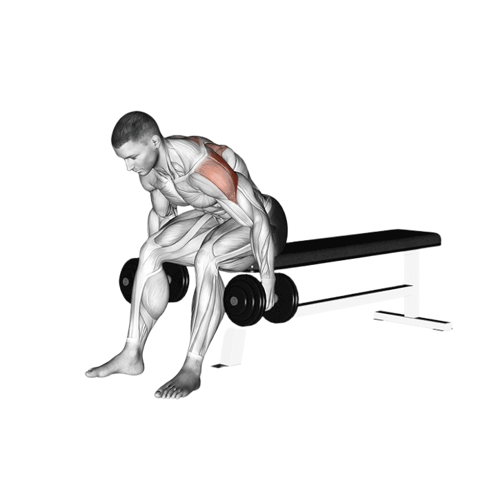 Oiseau assis sur banc