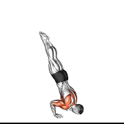 Pompe en equilibre sur les mains