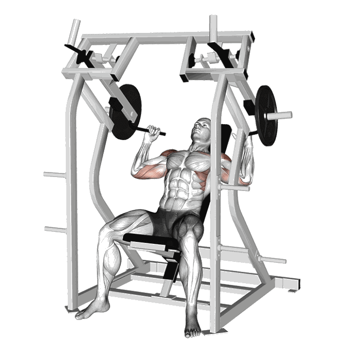 Animation Presse à épaules inclinée