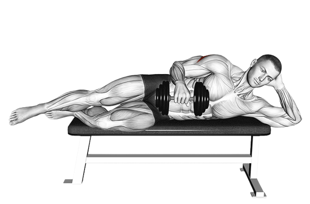 Rotation externe de l'épaule couchée avec haltère