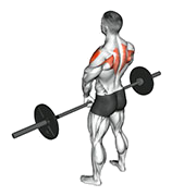 Rowing verticale (Barre)