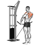 Rowing verticale (Poulie)