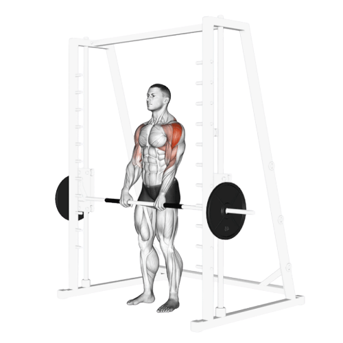 Tirage menton barre guidée