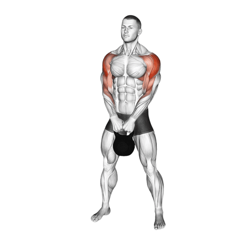 Tirage menton (Kettlebell)