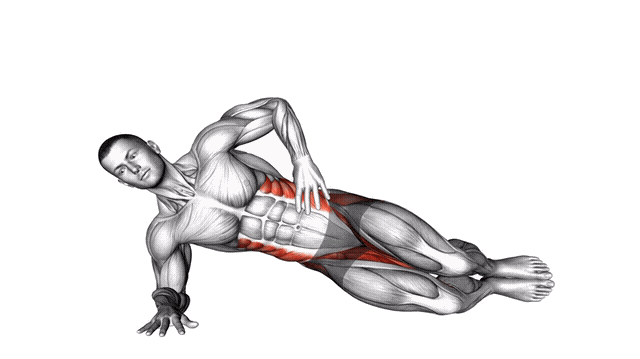 Animation Coquillage