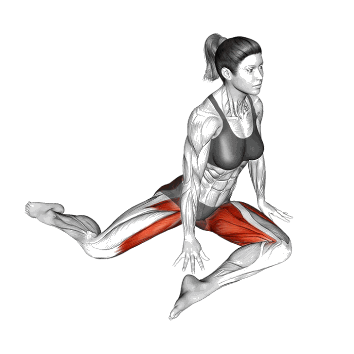 Animation Étirement de la hanche 90/90