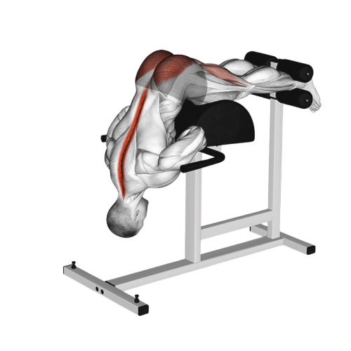 Extensions de hanches au GHD