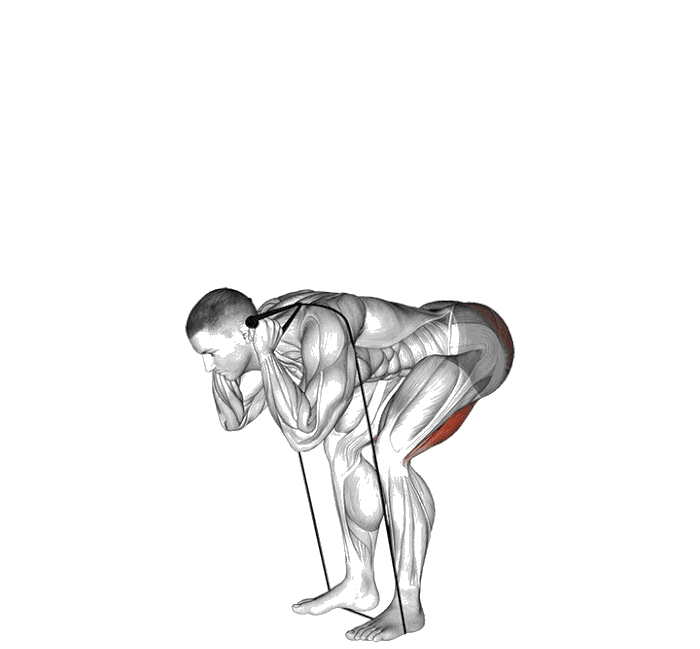 Animation Good morning (Élastique)