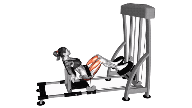 Animation Hip thrust (Machine)