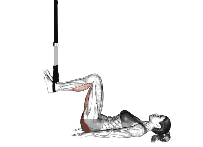 Animation Hip thrust (Suspension)