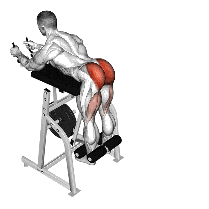 Animation Hyperextension inverse