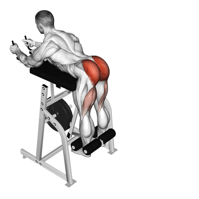 Hyperextension inverse