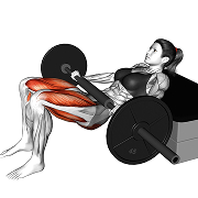 Pont fessier partiel (Barre)