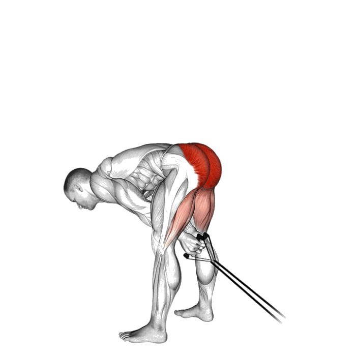 Animation Pull through (Élastique)