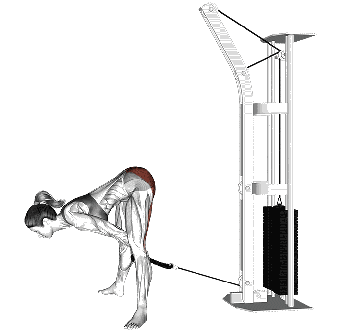 Animation Pull through (Poulie)