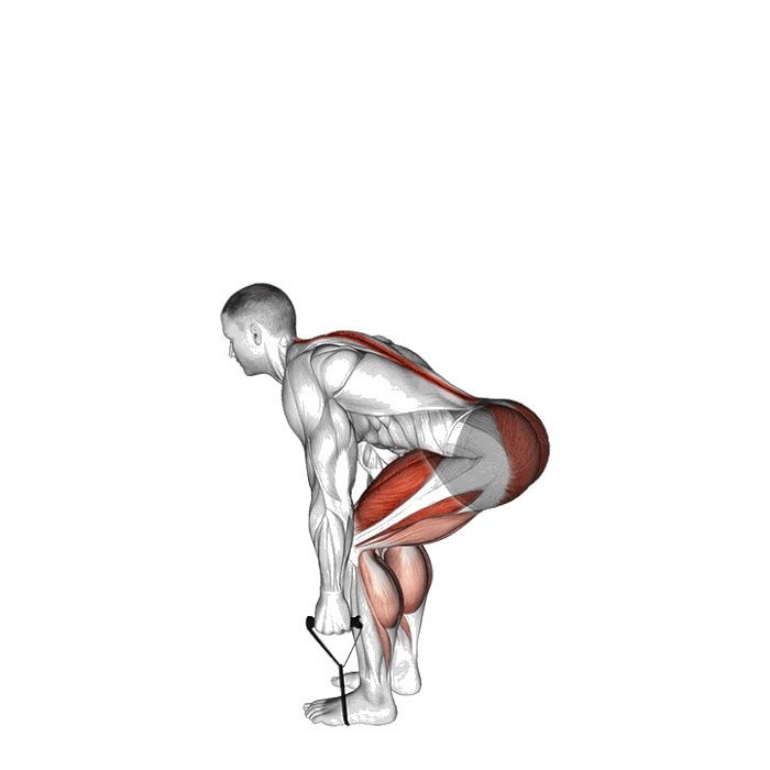 Animation Soulevé de terre (Élastique)