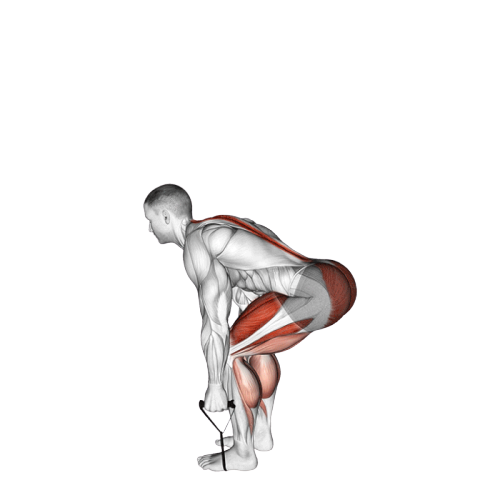 Soulevé de terre (Élastique)