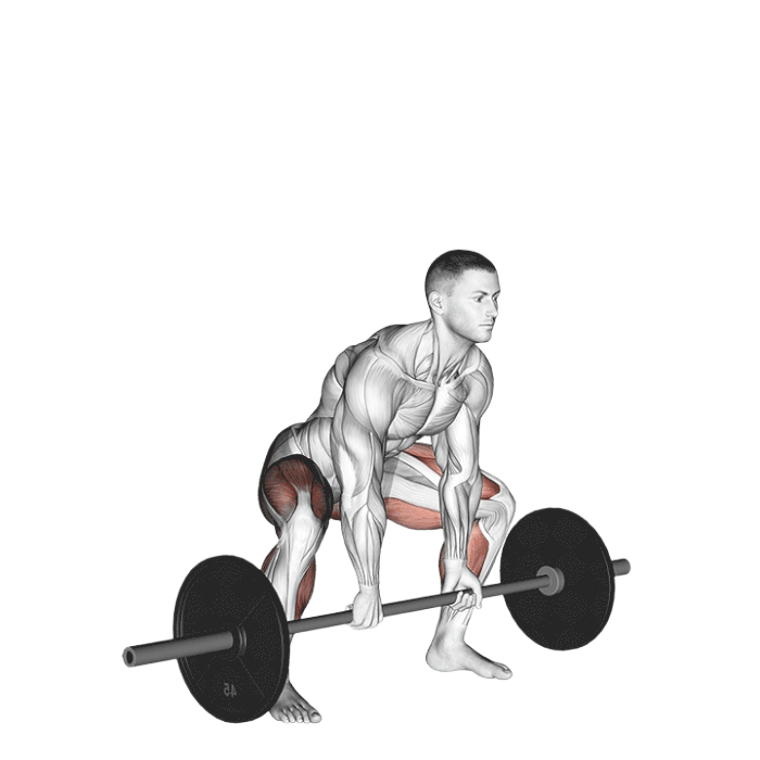 Soulevé de terre sumo (Barre)