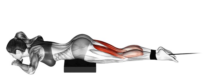 Leg curl allongé (Élastique)