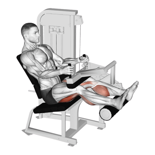 Leg curl assis (Machine)