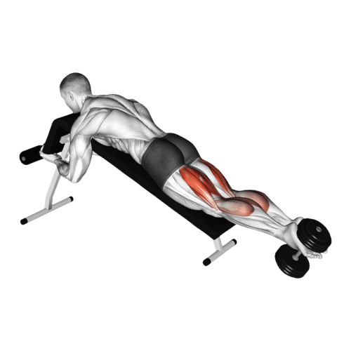 Leg curl décliné avec haltère