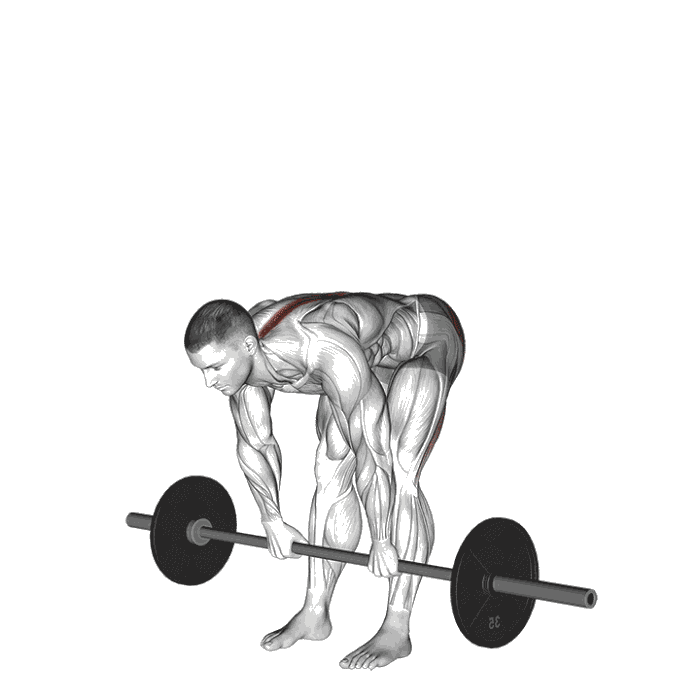 Animation Soulevé de terre jambes tendues