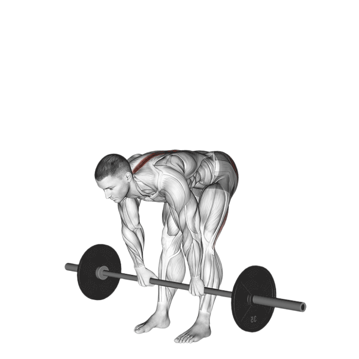 Soulevé de terre jambes tendues