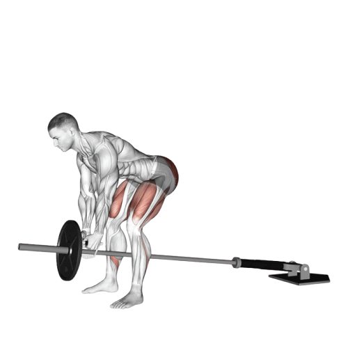 Soulevé de terre roumain à la landmine