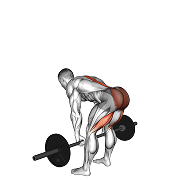 Souleve de terre roumain (Barre)