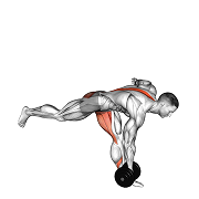 Souleve de terre roumain unilateral (Halteres)