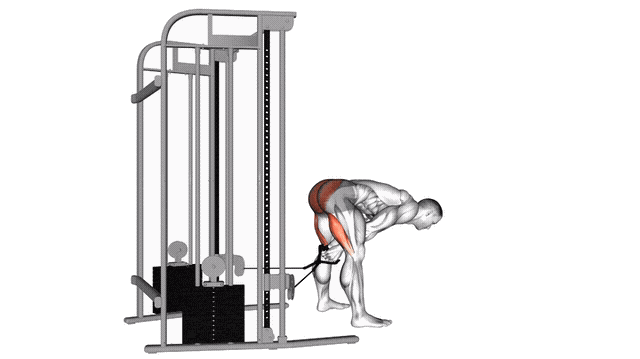 Animation Tirage entre les jambes (Poulie)