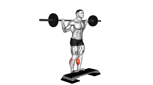 Animation Mollet debout sur step (Barre)