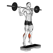 Mollet debout sur step (Barre)