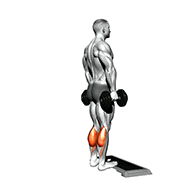 Mollet debout sur step (Halteres)