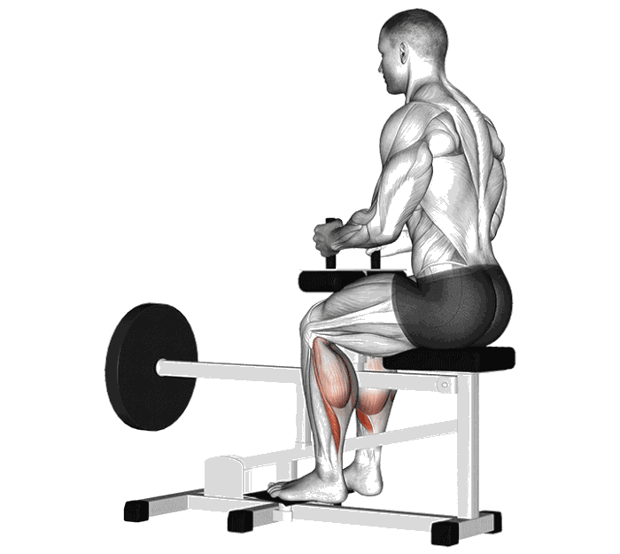 Animation Mollets assis (Machine)