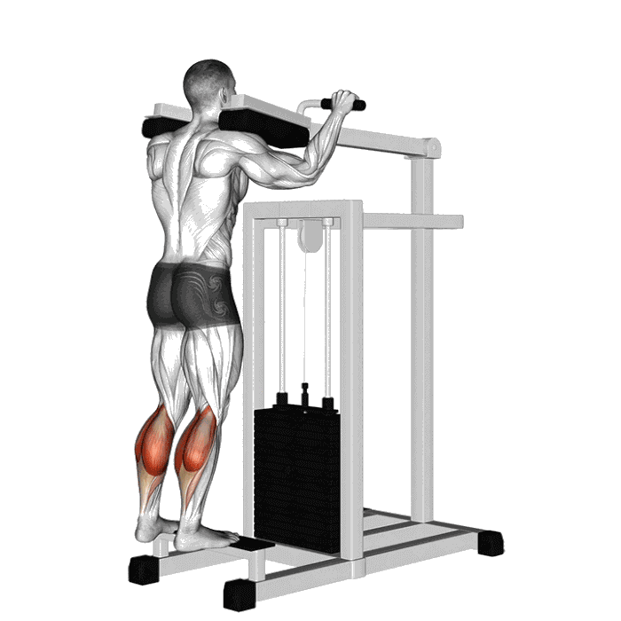 Animation Mollets debout (Machine)