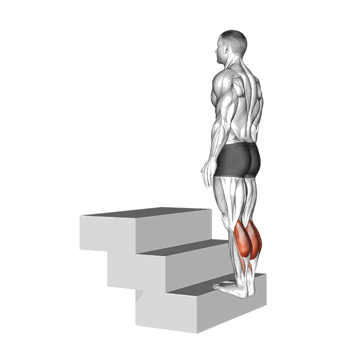 Animation Mollets sur marche