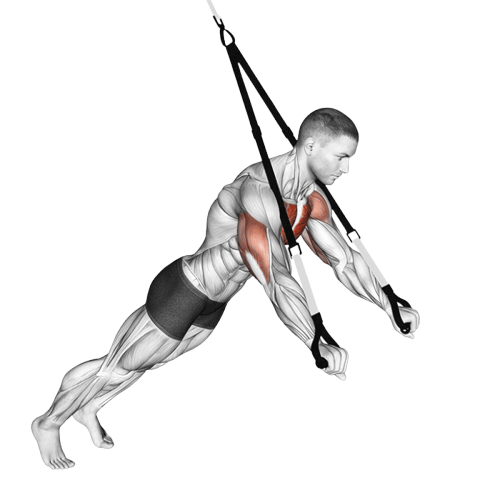 Chest press avec sangles de suspension