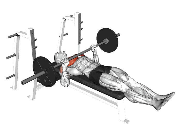 Animation Développé couché pieds leves (Barre)