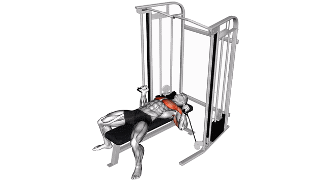 Animation Developpe couche (Poulie)