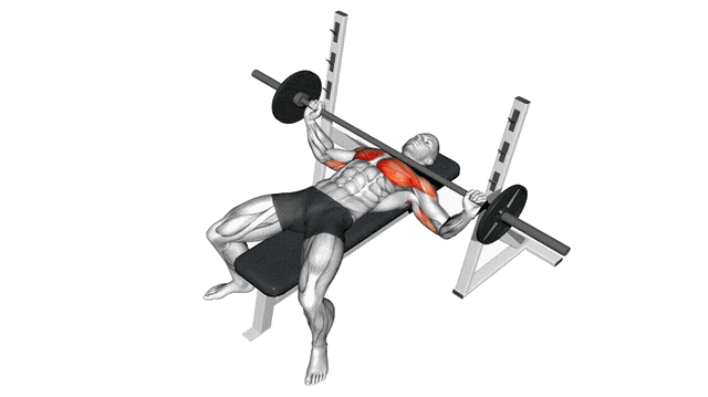 Animation Developpe couche prise large (Barre)