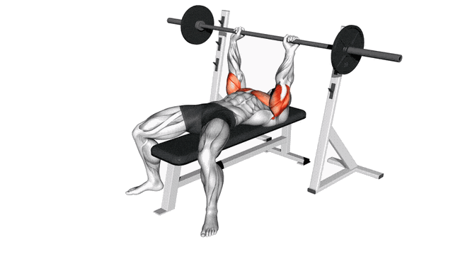 Animation Developpe couche prise serre (Barre)