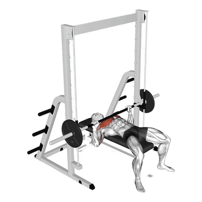 Animation Développé couché (smith machine)