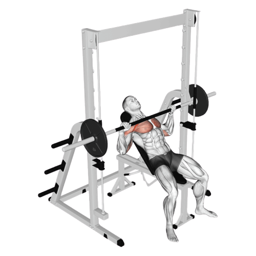 Développé couché (smith machine)