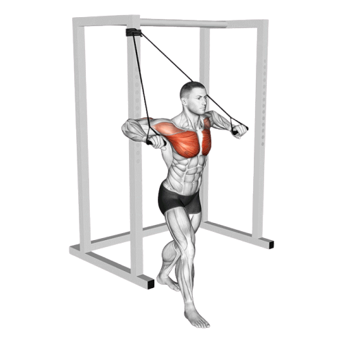 Développé décliné (Élastique)