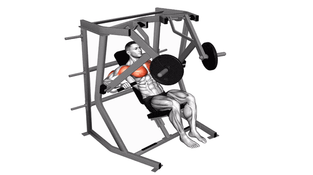 Animation Developpe decline (Machine)